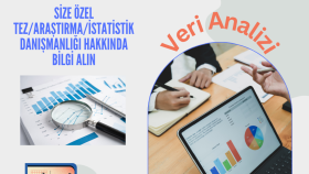 bilimsel araştırma verilerini analiz ederim