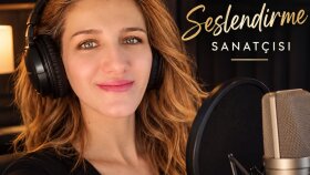 videolarınızda profesyonel bir seslendirme yapıyorum