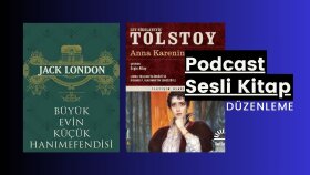 Sesli Kitap