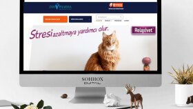 web sitesi