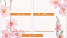 Planner 