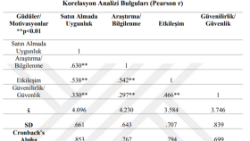 SPSS ile gerçekleştirilen analizlerin tablo şeklinde ÖRNEĞİ
