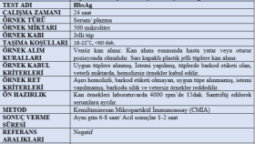 HbsAg nedir