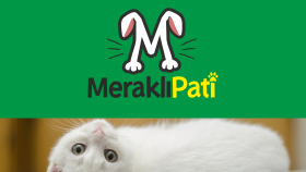 MERAKLI PATİ