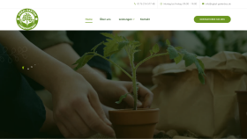 Web Site