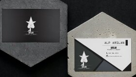 profesyonel logo tasarımı yapabilirim
