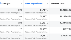 Avrupa Meta Reklam Maliyetleri