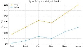 Veri Analizi ve Raporlama Çözümleri