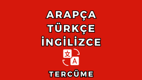 İngilizce Fransızca metin çevirisi yaparım