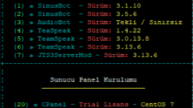 Bash Script