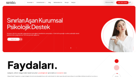 sento - Özelleştirilmiş WordPress sitesi