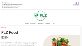 FLZ Food - Website