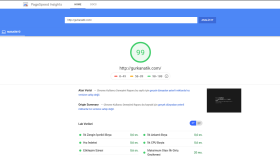 Google PageSpeed Insights