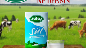 kendi kendime  yapmış olduğum bir çalışmadır 