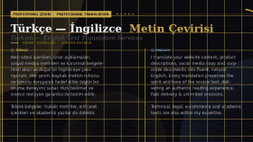 profesyonel i̇ngilizce türkçe metin çevirisi yaparım