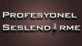 profesyonel İngilizce ve Türkçe seslendirme yaparım