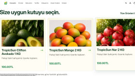 TropicSun | Shopify E-Ticaret Sitesi Tasarımı