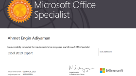 Profesyonel Excel Hizmetlerim