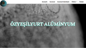 Tanıtım Web Sitesi
