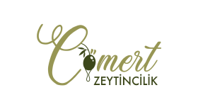 Logo tasarımı