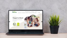 profesyonel web sitesi yapabilirim