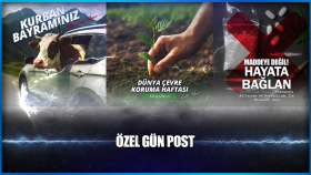 sizler için profesyonel bir şekilde post hazırlayabilirim