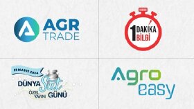 Logo Tasarımları
