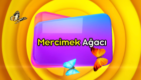 Youtube İntro