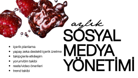 markanızın sosyal medya hesabını aylık olarak yönetirim