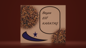 metninizi size özel yazarım