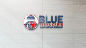 100 TL LOGO TASARIMI