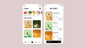 Mobil App