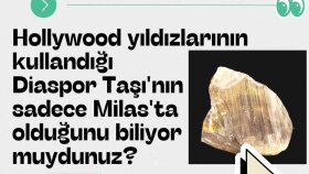 Milas Visit-Biliyor Musunuz? İçeriği