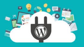 Wordpress Uzmanı