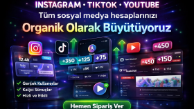 instagram hesabınıza organik olarak takipçi kazandırabilirim
