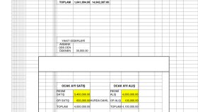 excel işlerinizi özenle yaparım