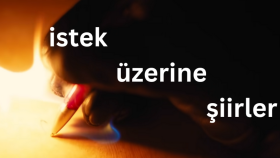yarı zamanlı bir yazarım ve ilgi çekici şiirler yazarım