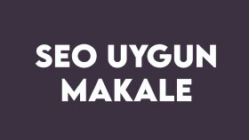 SEO uyumlu organik makale yazıyorum