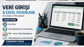 veri girişi ve excel düzenleme yapıyorum