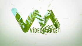 vm-219