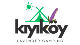 Lavender Kamp Alanı için Sosyal Medya Paketi