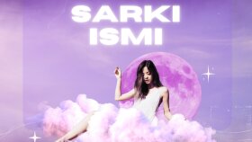 parçanıza/albümünüze özel kapak tasarlarım