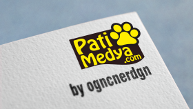 PatiMedya Logo Tasarımı