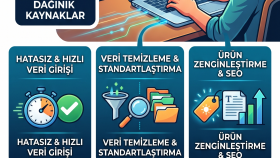 E-Ticaret Ürün Kataloğu Veri Girişi ve Düzenlemesi