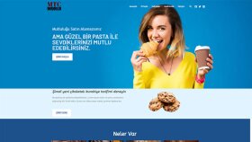 A'dan Z'ye Wordpress Site Yapımı