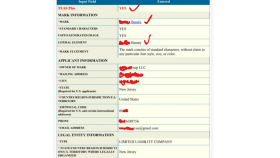 Usa Trademark Marka Tescili Amazon Brand Registry