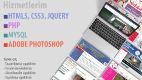 Profesyonel Web Desteği