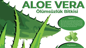 profesyonel ve modern infografikler tasarlıyorum
