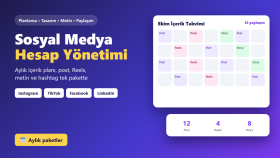 sosyal medya hesaplarınızı aylık olarak yönetirim