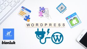 wordpress eklentisi yazabilirim